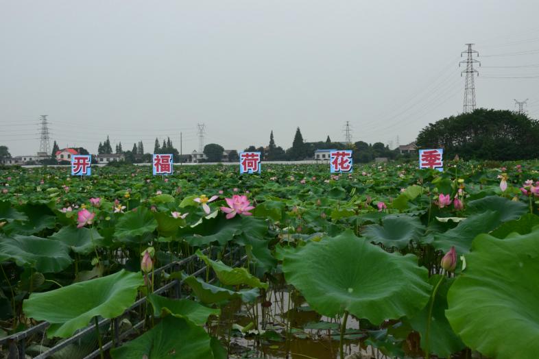 長沙清潔,長沙清潔服務,長沙專業(yè)清潔,長沙清潔公司,湖南專業(yè)清潔,長沙保潔公司,長沙專業(yè)保潔,長沙物業(yè)保潔